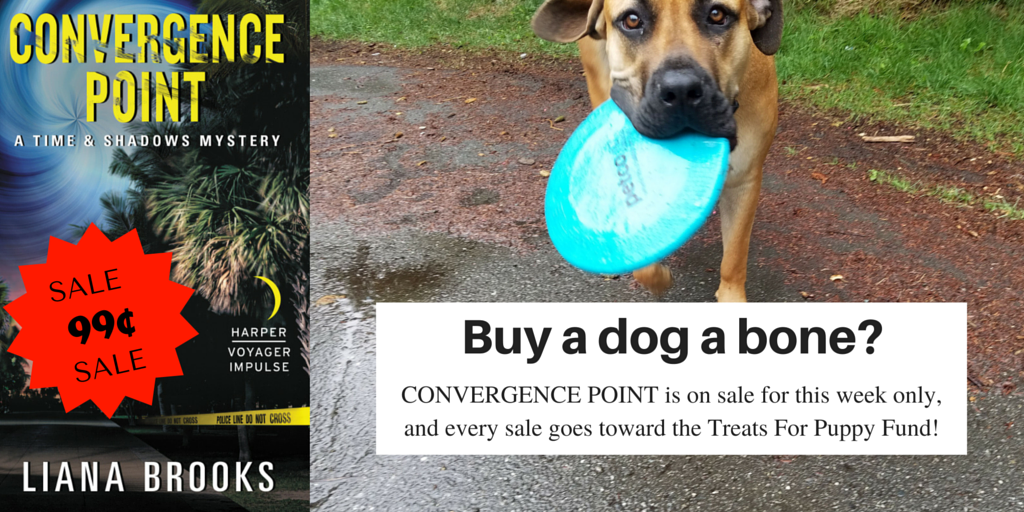 Convergence Point Sale 2