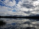 Best of the Pacific Northwest - Wildlife and Flowers