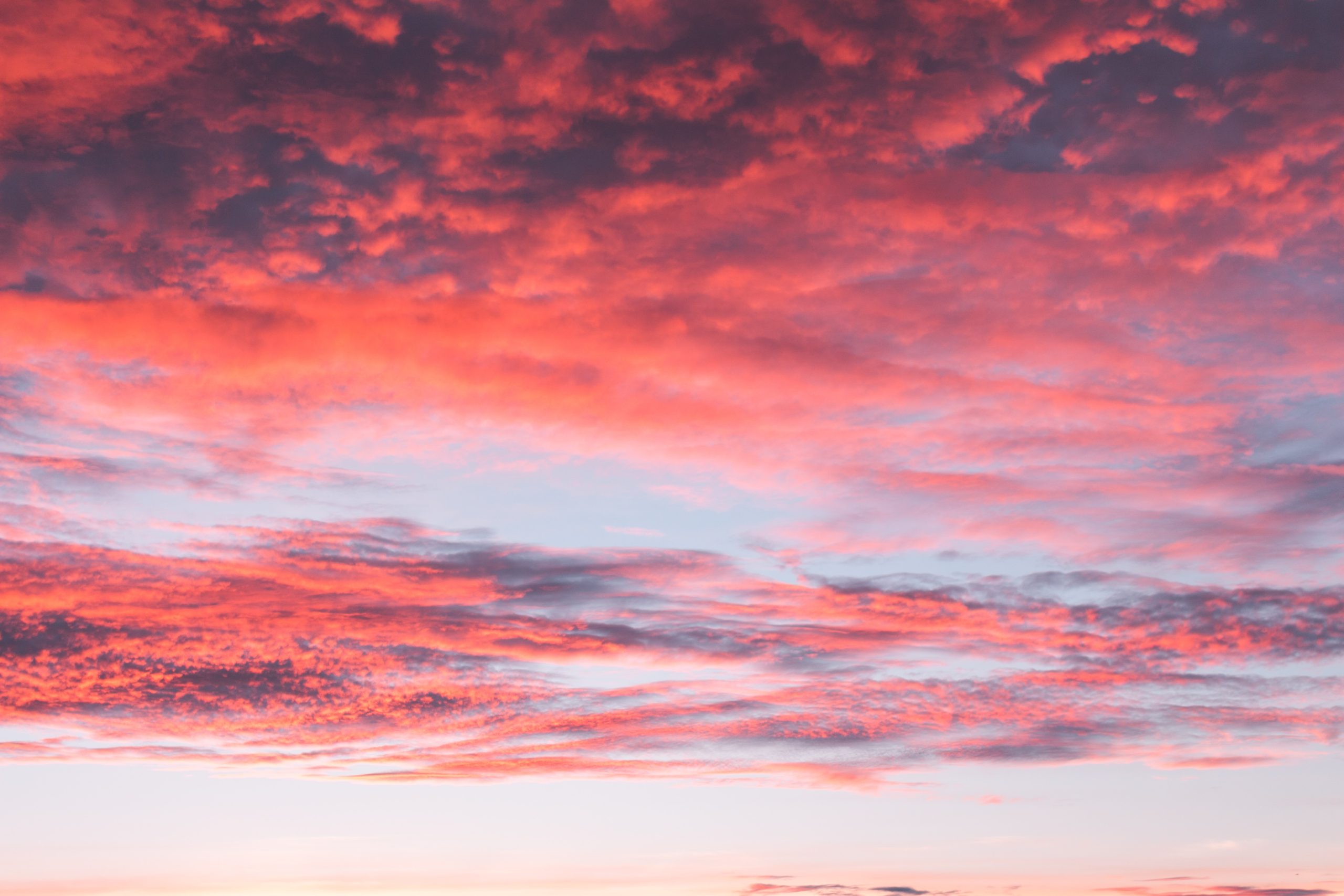 Pink clouds at sunset.