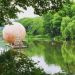 Typhoons, Festivals, and Other Fun