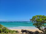 Storytelling Expectations: Why Moana 2 Doesn't Quite Work