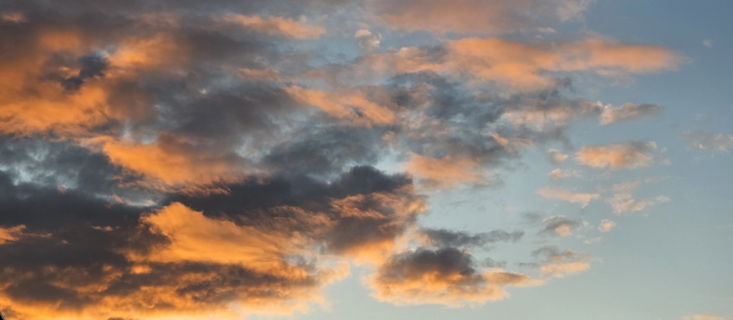 Clouds with sunlight brushing the bottom.